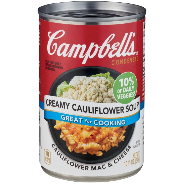 Campbells condensed cauliflower soup recipe