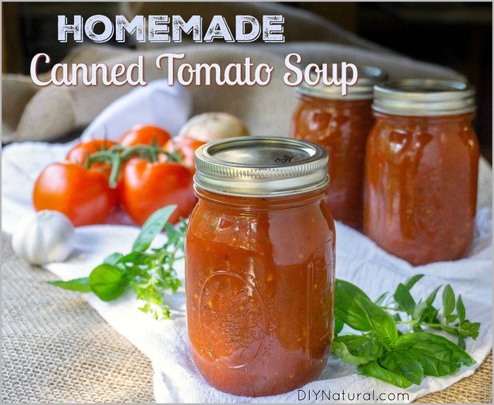 Recipe for tomato soup with canned tomatoes