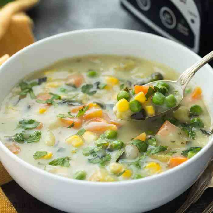 Vegetable soup recipes for crock pot