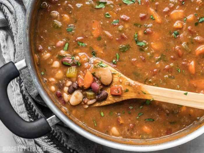 Vegetarian bean soup recipes