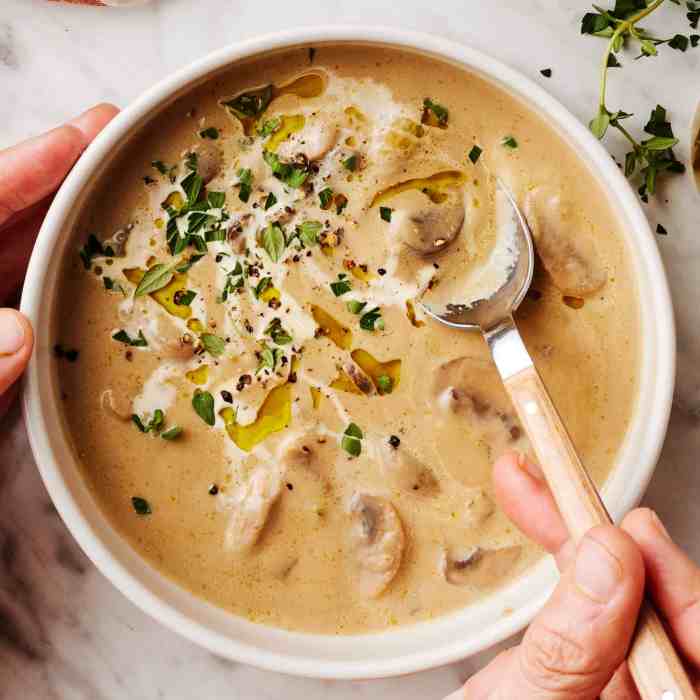 Best mushroom soup recipes