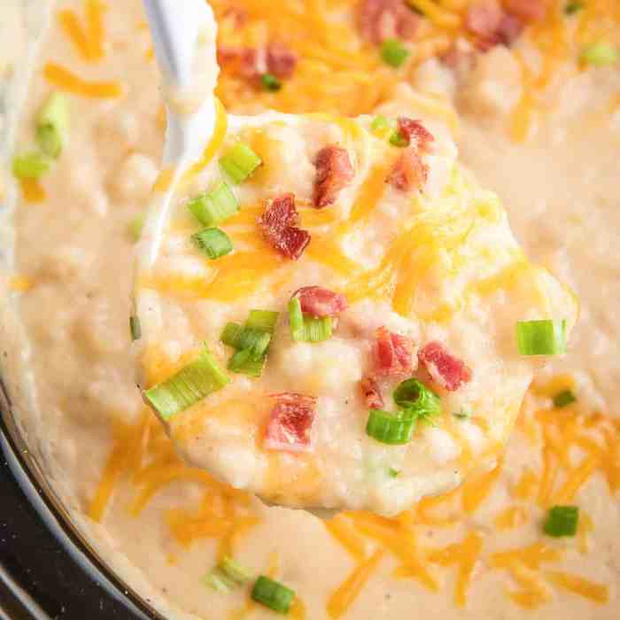 Potato soup cooker slow crockpot aspicyperspective